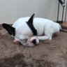 マイク 的头像