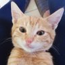 Profilbild von Macky