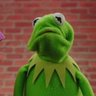 Kermit the ranger profil fotoğrafı