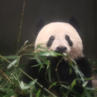 hd0FzVS0LcsiF0P's profile picture
