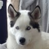 Фото профиля Jaq