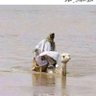 Carleone 的头像