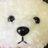 にゃお@固定ツイあります's profile picture