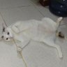 Bukan's profile picture