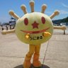 まるたん profil fotoğrafı
