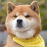 無's profile picture