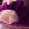وصايف profil fotoğrafı