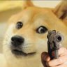 shhhhh's profile picture