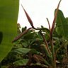 Tilata's profile picture