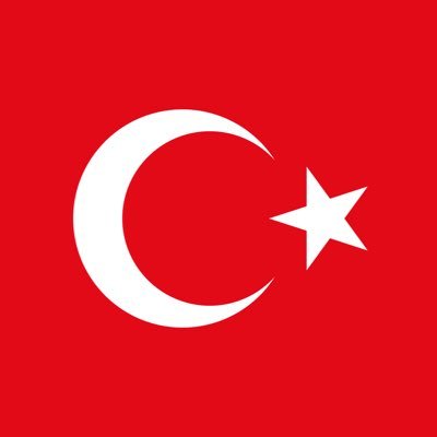Turk Scout's profile picture