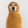 Julio C Napolitano's profile picture