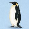 Profilbild von イカリングの面積