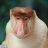 Андрей profil fotoğrafı