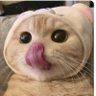 Diaperthief 🚼's profile picture