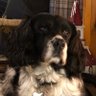 Neil Truswell's profile picture
