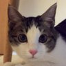みかも 的头像