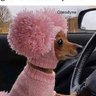 FAB4:Harry, Meghan, Archie & Lili's profile picture