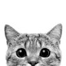 懶人癌發作's profile picture