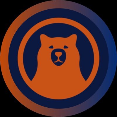 BearDown_Blog's profile picture
