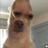 Profilbild von Hotrod