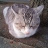 takataka's profile picture