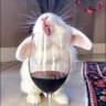 Anna B's profile picture