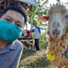 Profilbild von Andi Setiawan