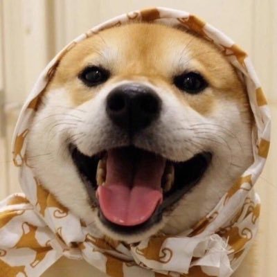 Dave_Li_'s profile picture