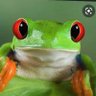 Mr.Frog profil fotoğrafı