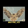 Biutre Vigilante's profile picture