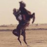 Profilbild von هذا الوقت سوف يمضي.