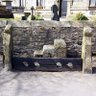 Woodplumpton Stocks's profile picture