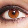 Profilbild von Eyestoanalyze