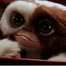 Profilbild von Munchkin#3