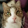 Stephtiti's profile picture