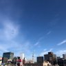まる's profile picture