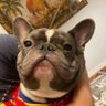 Kaiyo profil fotoğrafı