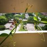 阿迹 的头像