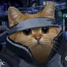 Фото профиля CrazyCat