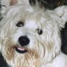 Profilbild von Ferdinand M.