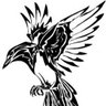Profilbild von hummingbird