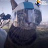 ruthjust's profile picture