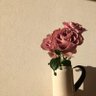 Ma Na profil fotoğrafı