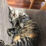 エム profil fotoğrafı