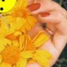 Mimi's profile picture