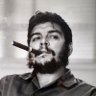 Ankit Kumar Singh's profile picture