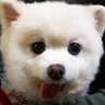 Tomohiro.'s profile picture
