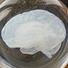 YaYa's profile picture