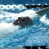 swimmers life 🇨🇦🇺🇦🏊🏻♂️🏍️ 的头像