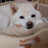 なな's profile picture